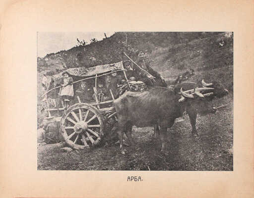 [Альбом с видами окрестностей Грузии]. [Нач. XX в.].